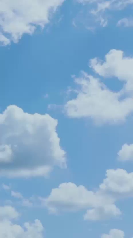 Load video: The Complete No-Bra Styling Kit